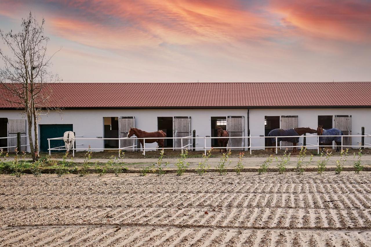 Brussa Horse Oasi Caorle