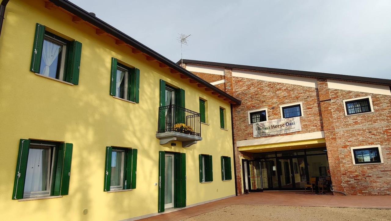Brussa Horse Oasi Caorle