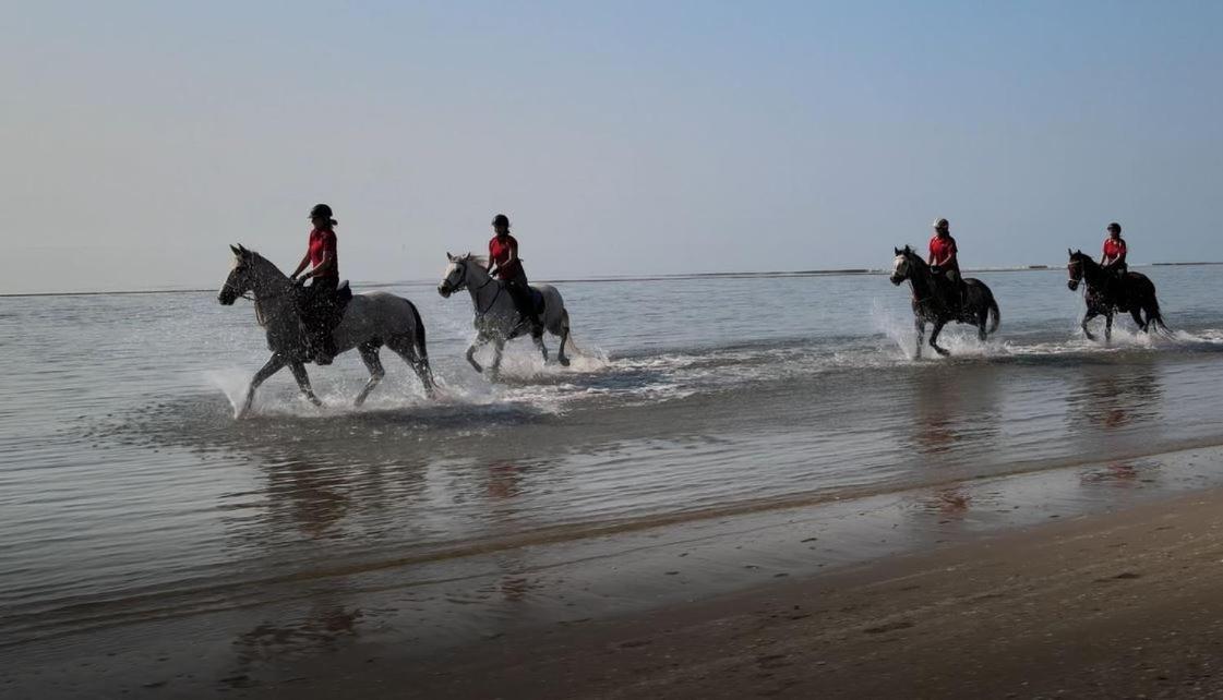 Brussa Horse Oasi Bauernhof Caorle